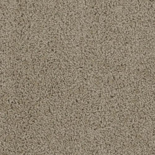 SP250 in Sandstone