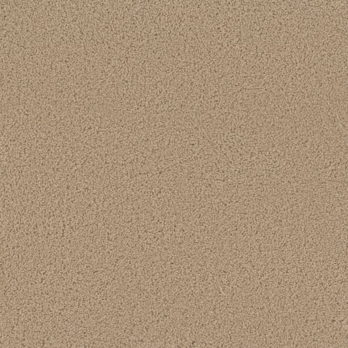 SP250 in Cookie Dough