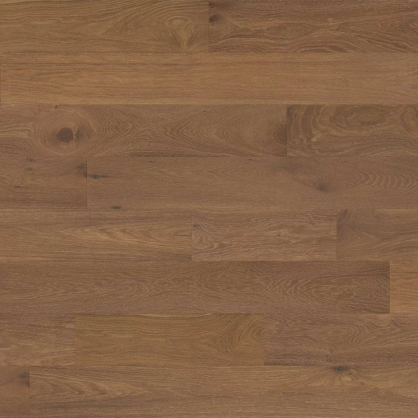 Hendry in Brunello Hardwood