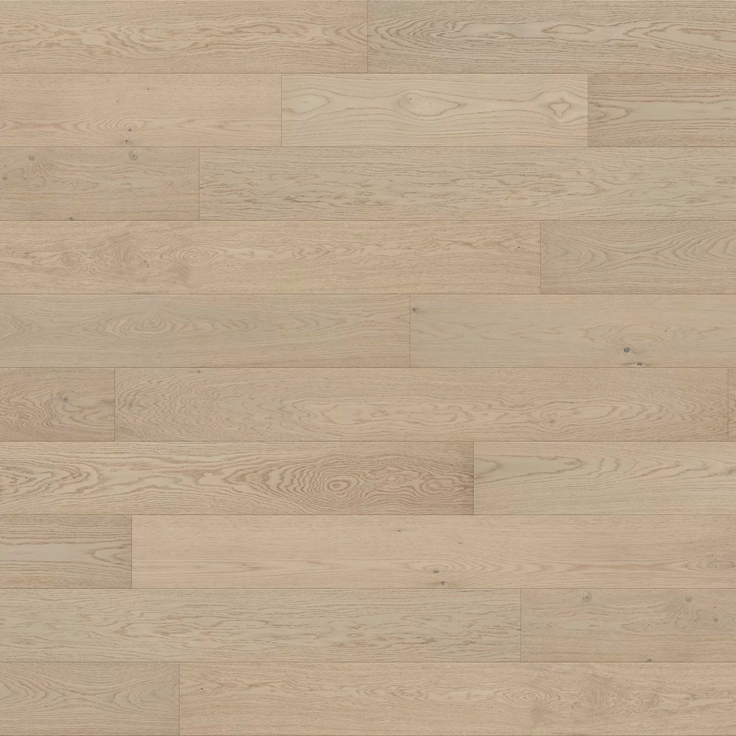 Hendry in Fresia Hardwood