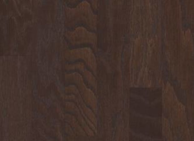 Albright Oak 3.25 In Chocolate | Shaw Industries