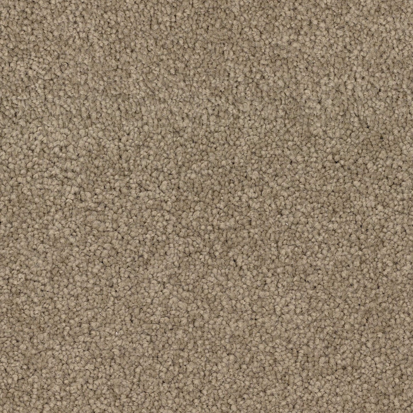 Griptite Tile in Salem Luxury Vinyl
