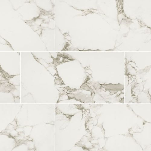 Pietra in Statuario - 12x24 Polished Tile