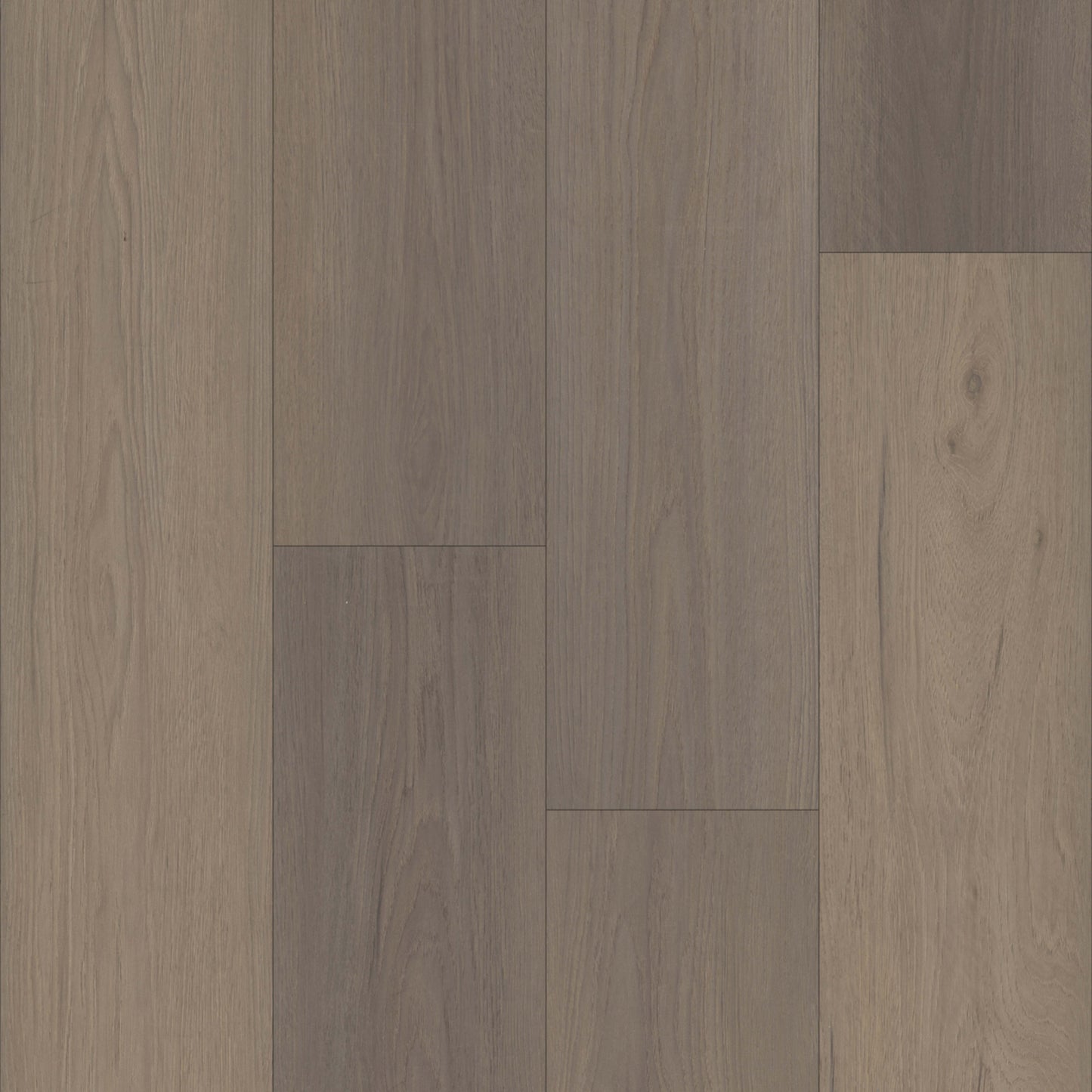 Bardstown in Hilgard Oak Laminate
