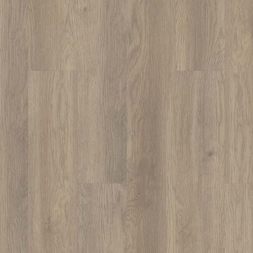 Classical Rendition 12 In Willow Oak