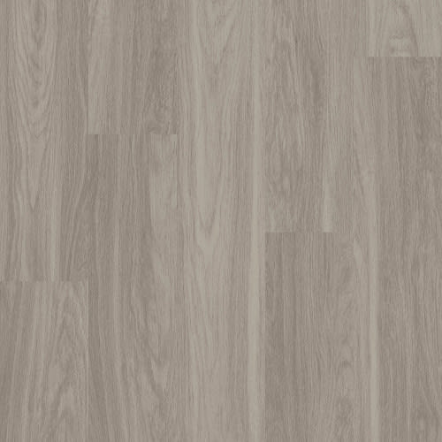 Indwell 20 In Shadow