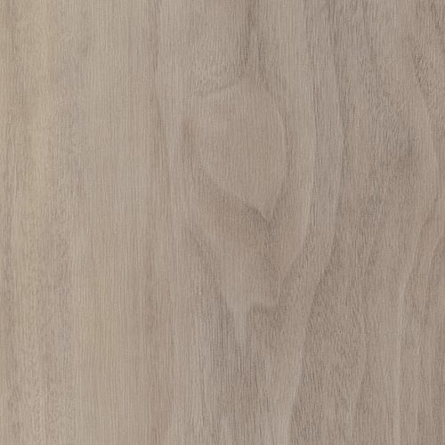 Classical Revival In Whispering Beige