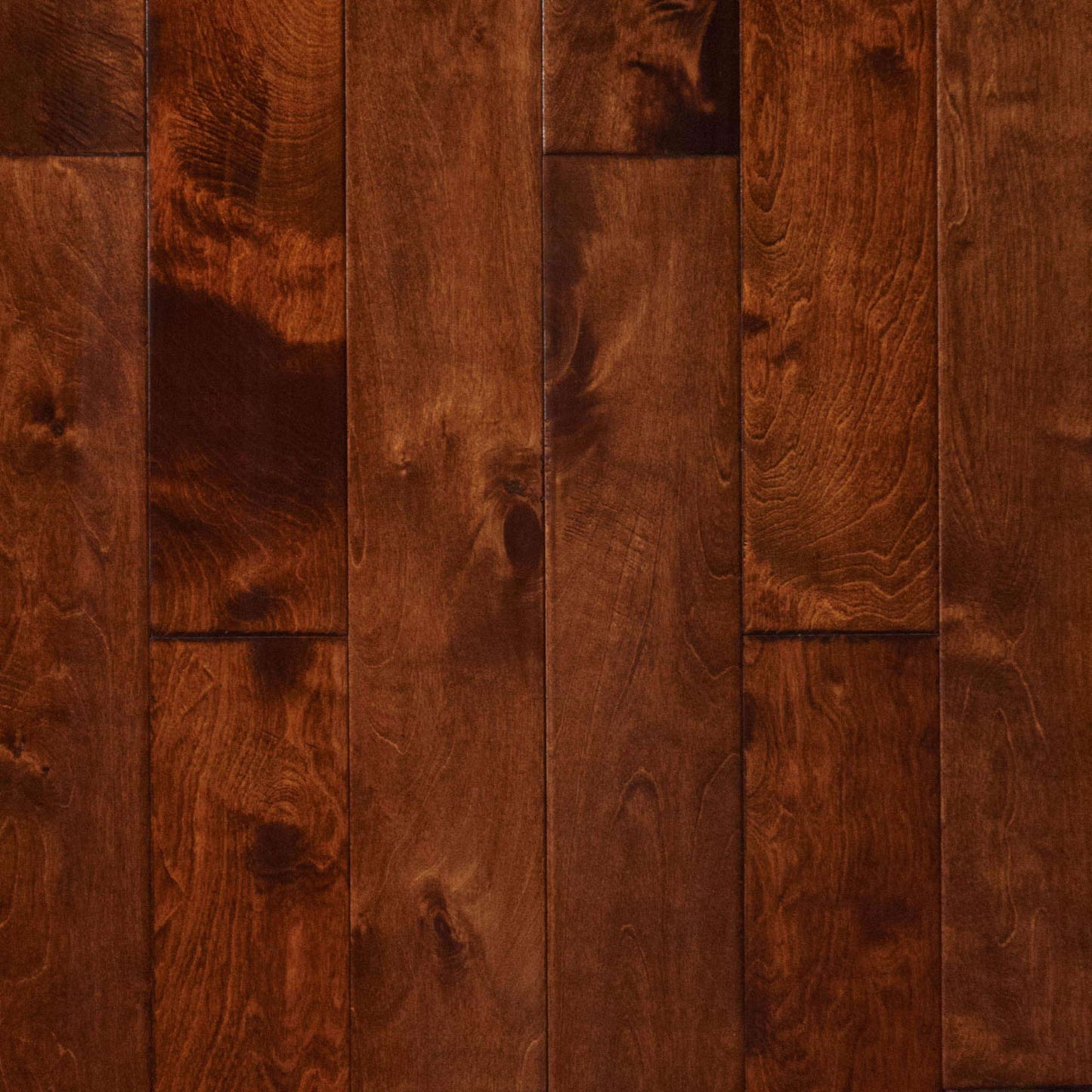 Bailey in Santa Monica Hardwood