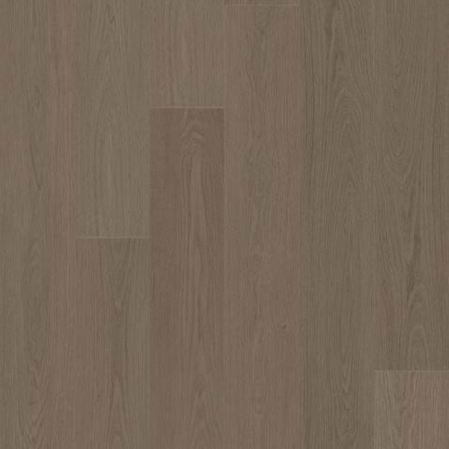 Lakeview Terrace in Meditative Oak Luxury Vinyl