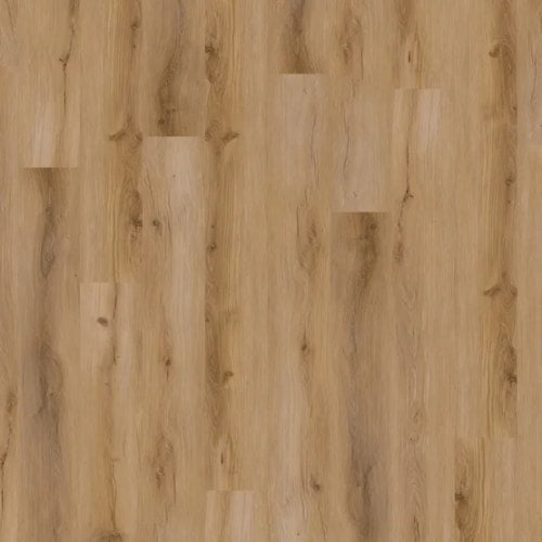 9Xl Series - Yukon In Natural Honey