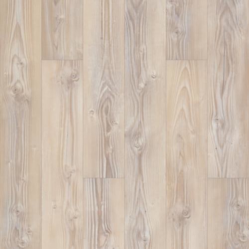 Distinction in Tarpon Springs Pine
