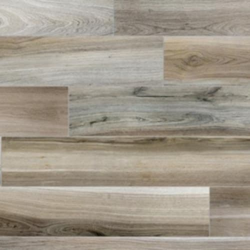 Belize Plank In Exotic Blend - 6X24