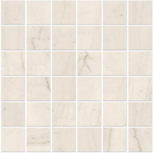 Denali In White - 2X2 Mosaic