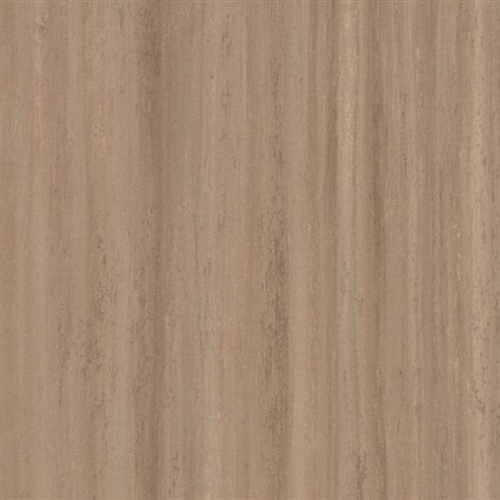 Marmoleum Striato Textura In Withered Prairie