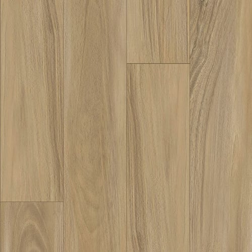 Bowman Ii In Eastern Meadowlark Pine