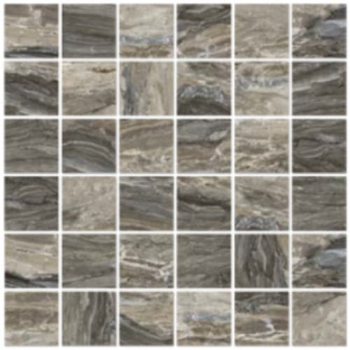Evolution In Taupe - 2X2 Mosaic