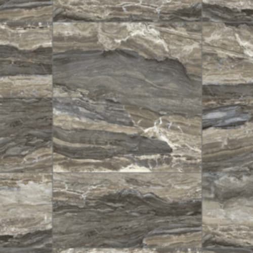 Evolution In Taupe - 24X48