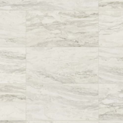 Evolution In White - 24X48