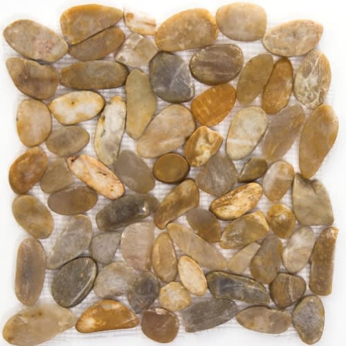 Rivera Pebbles in Gold Flat 12" X 12" Pebble Natural Stone