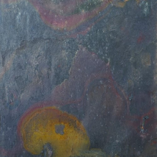 SLATE, QUARTZITE & SANDSTONE in Multi Rajah 12" X 12" Natural Stone