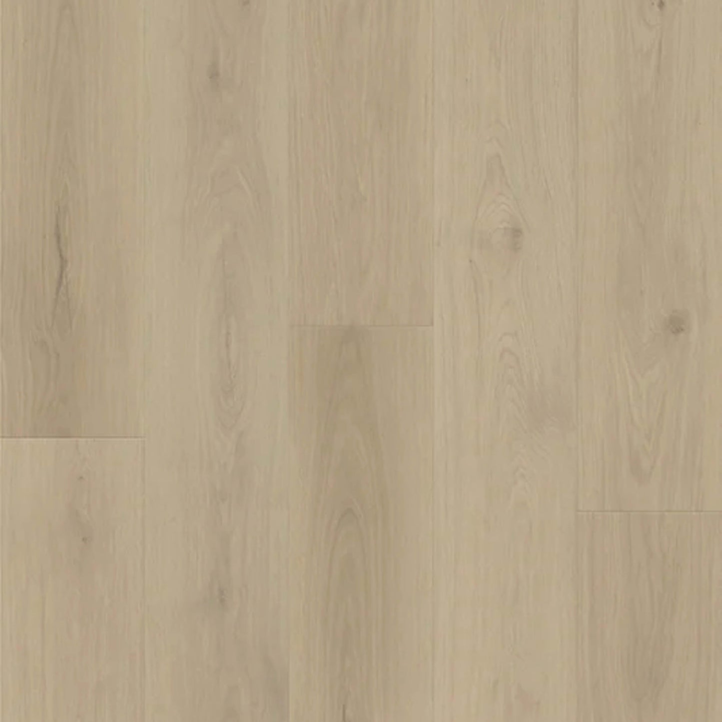 Design Plus in Melody Oak Luxury Vinyl