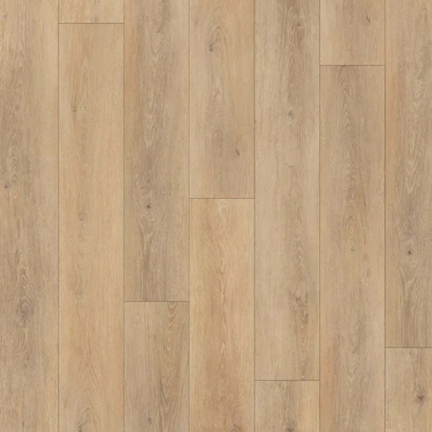 Design Plus in Serenade Oak Luxury Vinyl