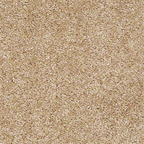 Big Event Plus in Sunray Carpet