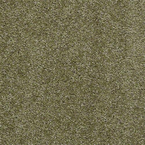 Maple Park in Send Packing Carpet