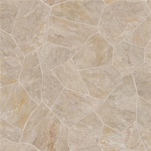 Fresh Start in Arizona Dust Vinyl Sheet Goods