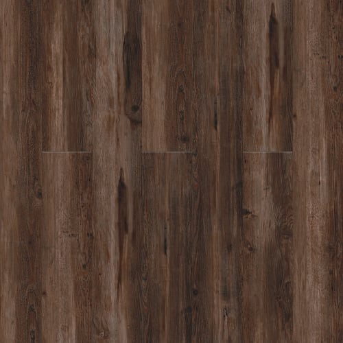 Avenue In Winchester Gray