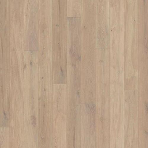 Canvas Collection In Oak Muse