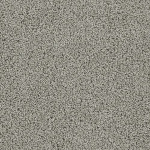 Ascend in Doeskin Carpet