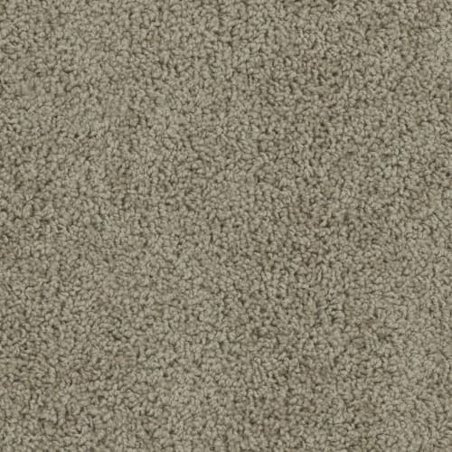 Alpine in Doeskin Carpet