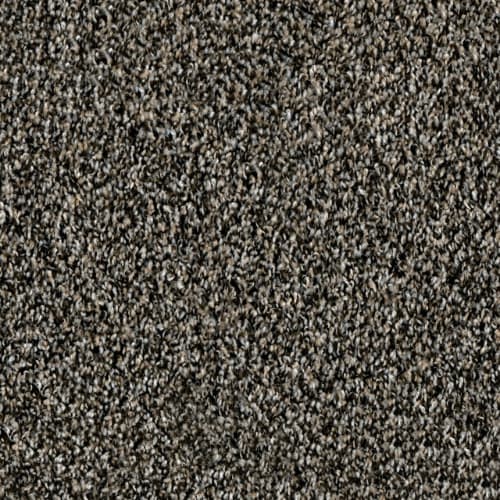 Wolverine in Yorkstone Carpet