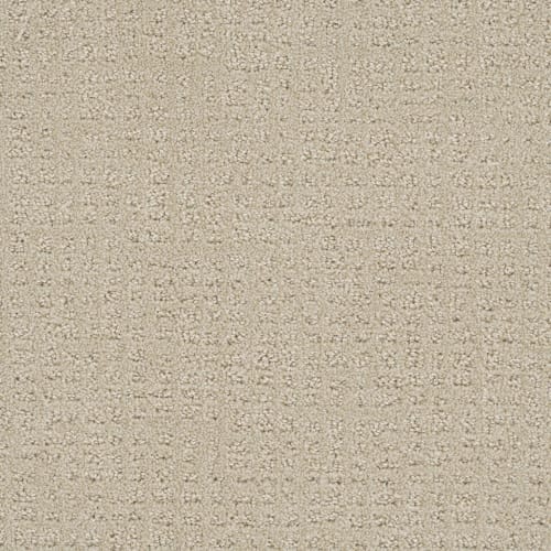 Step By Step in Champagne Fizz Carpet