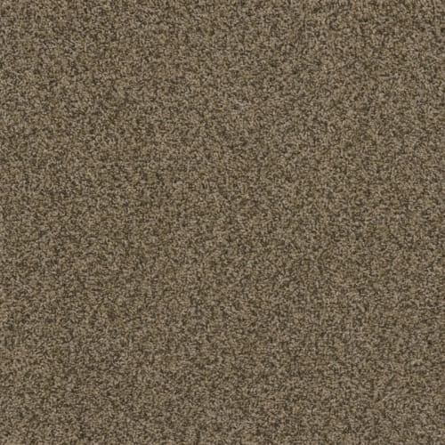 Shaw Industries | Lenoir