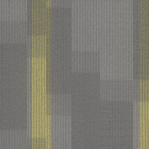 Amplify Tile