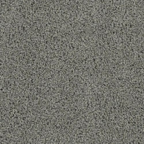 Tracker in Bayside Carpet