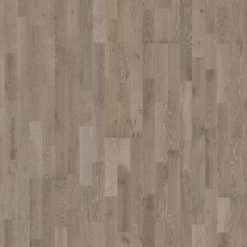Harmony Collection In Alloy