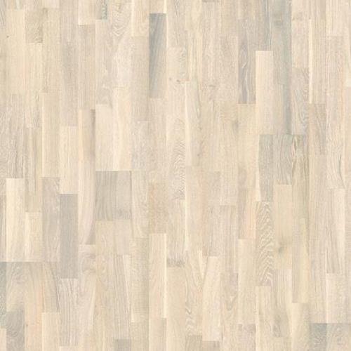 Harmony Collection In Pale