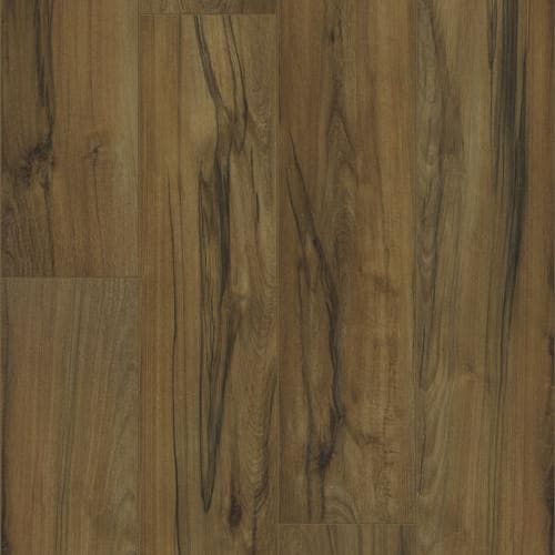 Titan Hd Plus In Ancestry Beech