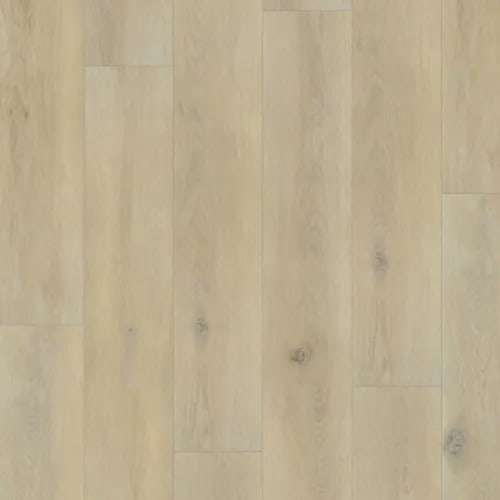 Turbo in Adelaide Luxury Vinyl