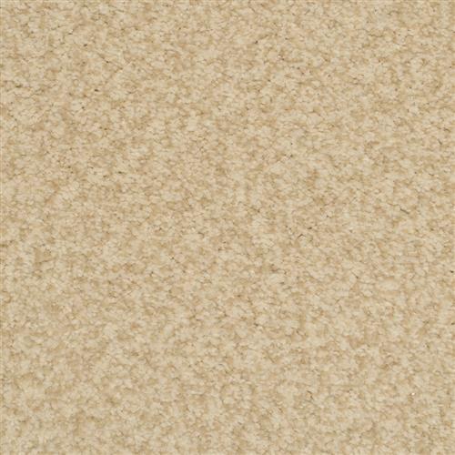 Semitones in Birch Carpet