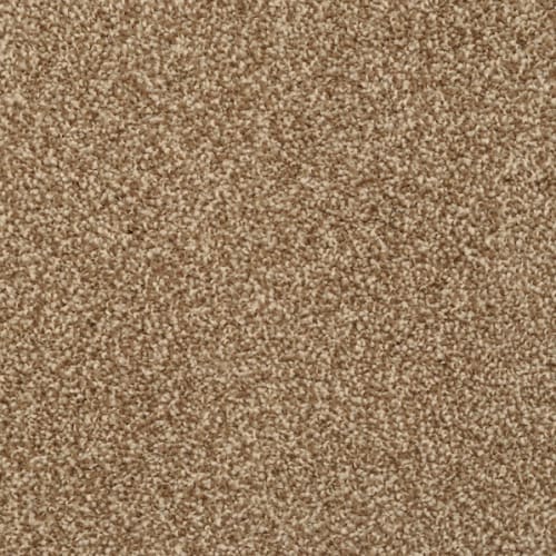 Alluring in Mountain Mist Carpet