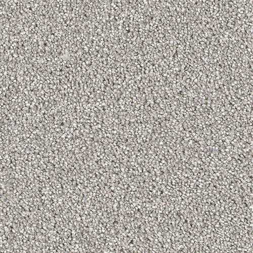 Cape Cod in Dove Carpet