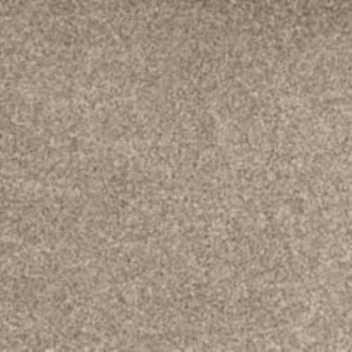 Bold Creation in Mirage Carpet