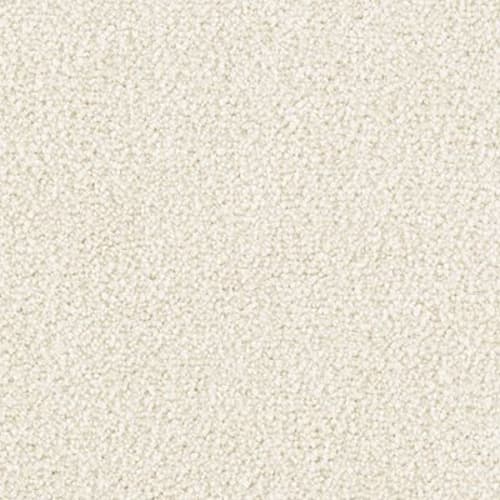 Brilliant Idea in Winter Wind Carpet