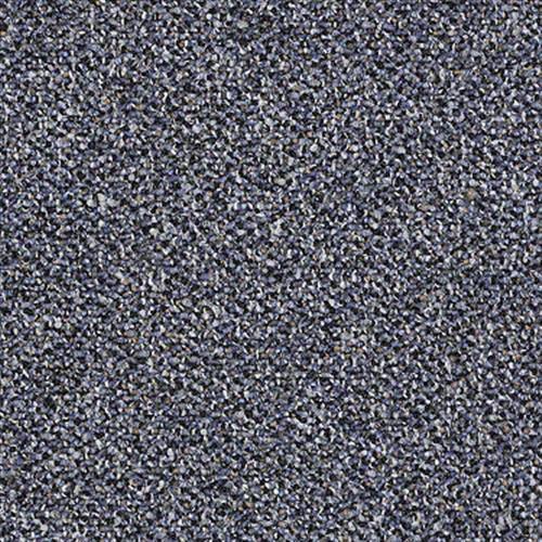 Sp296 in Ship Wreck Carpet