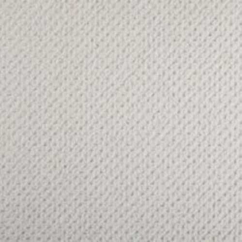 Casual Elegance in Silver Fox Carpet