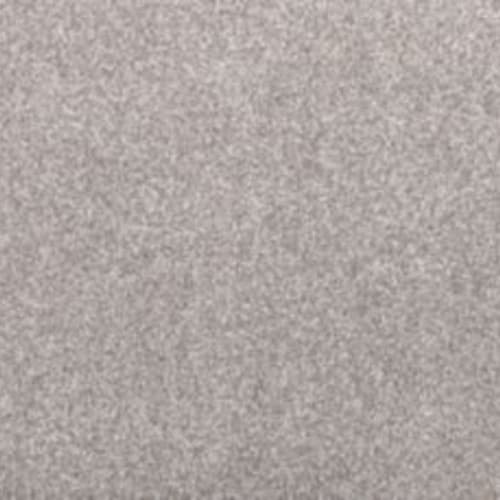 Dynamic Quality II in Moonlit Grey Carpet